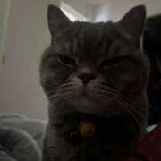 ヒメ日記 2025/06/16 19:34 投稿 勝ち戦❗️時代はマワル グッドスマイル