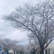 ヒメ日記 2026/03/31 19:45 投稿 Yuuki ワンカラット～人妻の輝き～