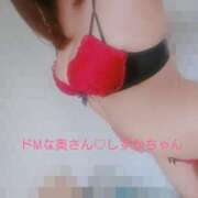 ヒメ日記 2025/05/08 19:50 投稿 しずかちゃん♡ ドMな奥さん 日本橋店