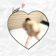 ヒメ日記 2025/11/15 13:02 投稿 まな 妻天 日本橋店