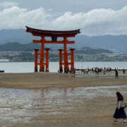 ヒメ日記 2025/06/23 20:17 投稿 あんず ちゃんこ東大阪 布施・長田店