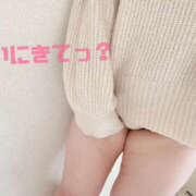 ヒメ日記 2025/07/28 00:19 投稿 あんず ちゃんこ東大阪 布施・長田店