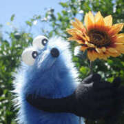 ヒメ日記 2026/01/19 19:15 投稿 あんず ちゃんこ東大阪 布施・長田店