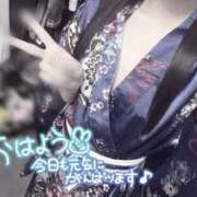 ヒメ日記 2025/12/16 12:44 投稿 みるも いざ候 別館