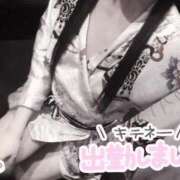 ヒメ日記 2025/12/18 12:44 投稿 みるも いざ候 別館