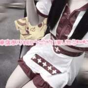 ヒメ日記 2026/01/19 20:34 投稿 みるも いざ候 別館