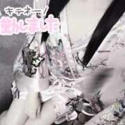 ヒメ日記 2026/02/18 12:54 投稿 みるも いざ候 別館