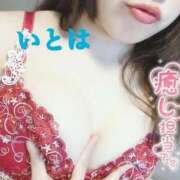 ヒメ日記 2025/11/26 19:55 投稿 いとは 淫乱痴女エステ