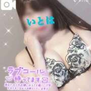 ヒメ日記 2025/11/28 10:38 投稿 いとは 淫乱痴女エステ