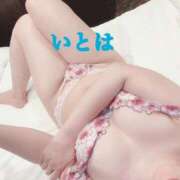 ヒメ日記 2025/12/24 10:51 投稿 いとは 淫乱痴女エステ