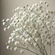 ヒメ日記 2026/02/11 09:01 投稿 いとは 淫乱痴女エステ