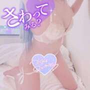 ヒメ日記 2025/02/14 22:30 投稿 りみ Gossip girl成田店