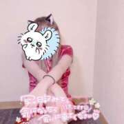 ヒメ日記 2025/10/11 19:01 投稿 りみ Gossip girl成田店