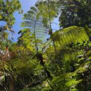 ヒメ日記 2025/10/22 20:48 投稿 えりか-黒髪スレンダー美人 南国ラブストーリー宮古島