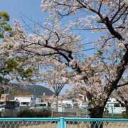 ヒメ日記 2025/04/09 13:46 投稿 あや☆計り知れないこの魅力！ ジャックと豆の木