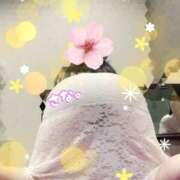 ヒメ日記 2025/06/08 06:50 投稿 森川 さな SUMIRE