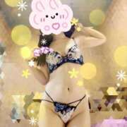 ヒメ日記 2025/12/02 09:45 投稿 森川 さな SUMIRE