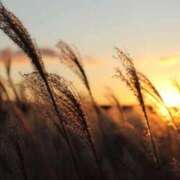 ヒメ日記 2025/12/02 18:22 投稿 みさと 宮城♂風俗の神様 仙台店