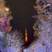 ヒメ日記 2024/12/18 08:18 投稿 ぐみ マリン熊本本店