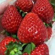 ヒメ日記 2025/06/23 18:14 投稿 ぐみ マリンマリン