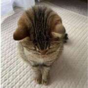 ヒメ日記 2024/12/23 10:24 投稿 こまち リッチドールパート2梅田店