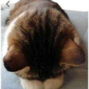 こまち お休みです リッチドールパート2梅田店