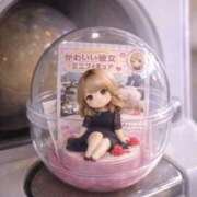 ヒメ日記 2025/12/30 15:05 投稿 くるみ 激安ドットコム