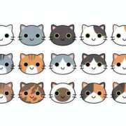 ヒメ日記 2026/02/22 08:43 投稿 くるみ 激安ドットコム