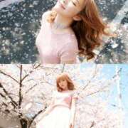 ヒメ日記 2026/03/08 15:46 投稿 くるみ 激安ドットコム