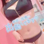 ヒメ日記 2025/07/29 09:14 投稿 つき チューリップ福井本館