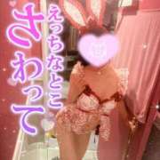 ヒメ日記 2025/07/31 14:54 投稿 つき チューリップ福井本館