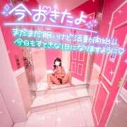 ヒメ日記 2025/03/23 06:34 投稿 つき チューリップ福井別館