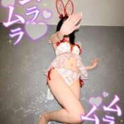 ヒメ日記 2025/07/26 09:04 投稿 つき チューリップ福井別館