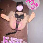 ヒメ日記 2025/07/27 12:05 投稿 つき チューリップ福井別館