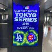 ヒメ日記 2025/04/14 11:02 投稿 百瀬 熟女の風俗最終章 新横浜店