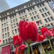 ヒメ日記 2026/04/14 17:43 投稿 百瀬 熟女の風俗最終章 新横浜店