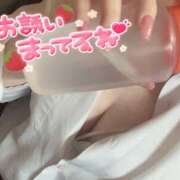 ヒメ日記 2025/02/24 14:40 投稿 ゆきか 難波女子高生はやめました！！