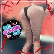 ヒメ日記 2025/02/10 14:05 投稿 マドカ バニーコレクション新潟店