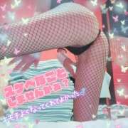 ヒメ日記 2025/04/03 12:05 投稿 マドカ バニーコレクション新潟店