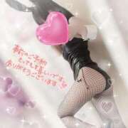 ヒメ日記 2025/04/30 17:01 投稿 マドカ バニーコレクション新潟店