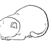 ヒメ日記 2025/08/13 09:45 投稿 マドカ バニーコレクション新潟店