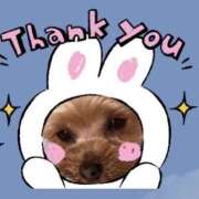 ヒメ日記 2025/01/26 22:56 投稿 丸山えみ 五十路マダム　和歌山店