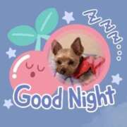 ヒメ日記 2025/01/26 23:04 投稿 丸山えみ 五十路マダム　和歌山店