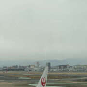 ヒメ日記 2026/02/03 08:15 投稿 めるる 奥鉄オクテツ東京店（デリヘル市場）