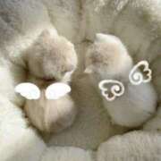 ヒメ日記 2025/06/23 00:12 投稿 東条かずは 全裸美女からのカゲキな誘惑