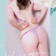 ヒメ日記 2025/01/22 09:36 投稿 春風 みか こあくまな熟女たち 京都店(KOAKUMAグループ)