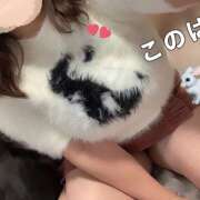 ヒメ日記 2024/12/11 12:18 投稿 このは ぷにぷにプリンセス