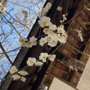 ヒメ日記 2025/03/06 21:22 投稿 このは ぷにぷにプリンセス