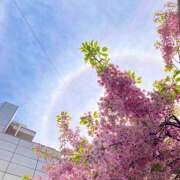 ヒメ日記 2025/03/18 14:08 投稿 このは ぷにぷにプリンセス