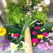 ヒメ日記 2025/03/30 22:36 投稿 このは ぷにぷにプリンセス